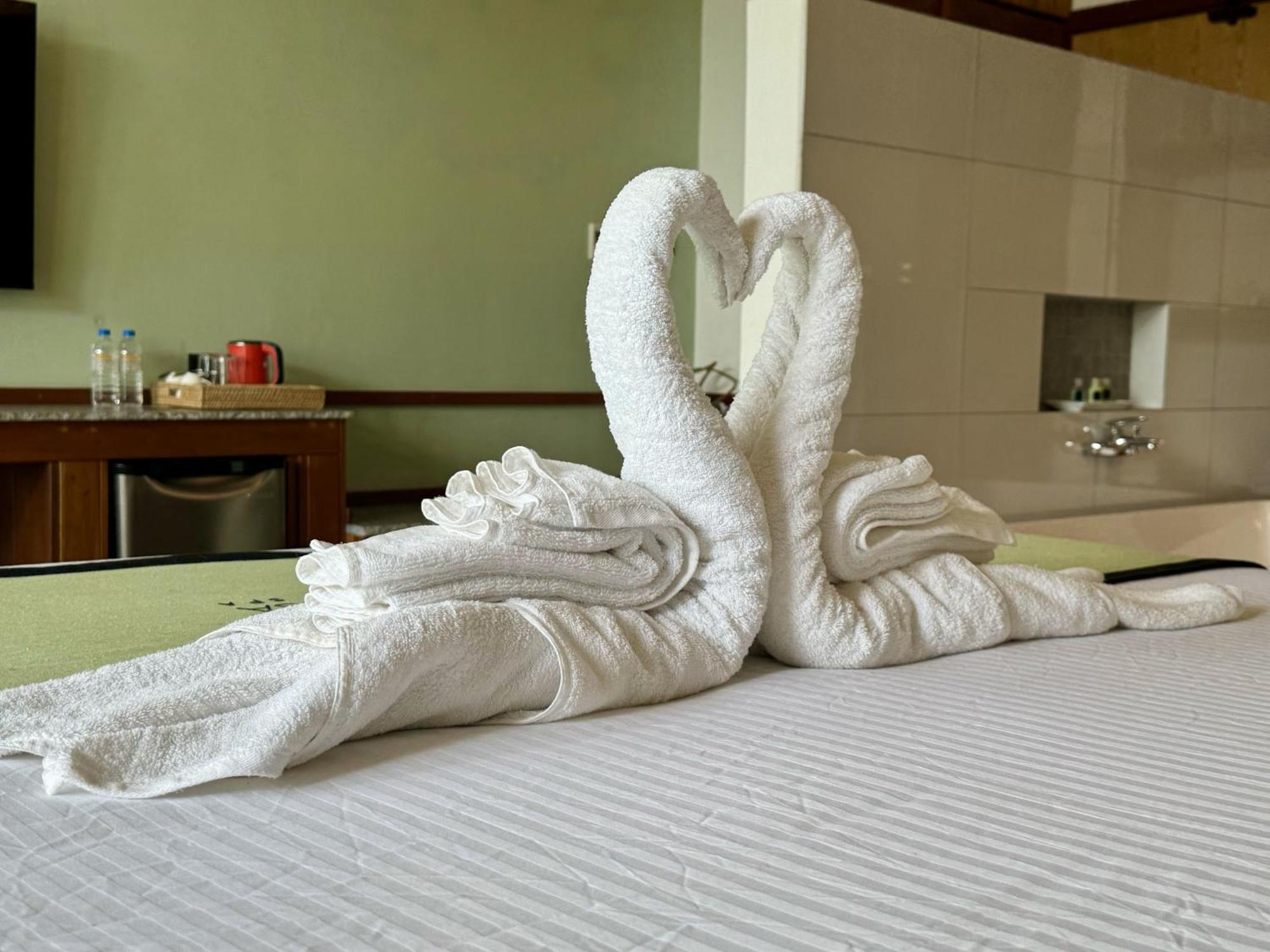 Coastline Mirissa Boutique Hotel And Spa Номер фото